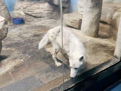 -梦幻海洋王国(吾悦广场张家港店)