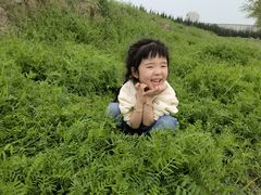 -汉长安城未央宫国家考古遗址公园