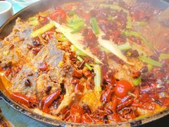 老板恋上鱼-老板恋上鱼(恒隆广场店)