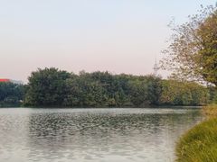 -海珠湖公园
