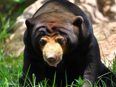 -杭州野生动物世界