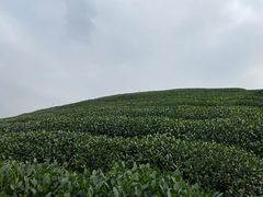 -听风阁农家私房菜茶楼(龙坞店)