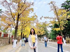 -八大关景区