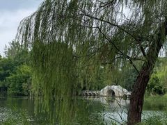 -洋湖国家湿地公园