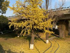 -寒山寺
