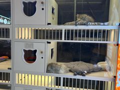 -万达影城(浦西万达广场激光IMAX店)