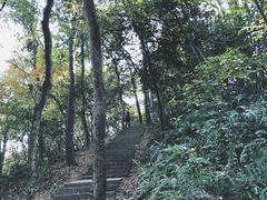 -九曜山