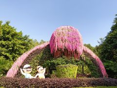 -王借岗森林公园