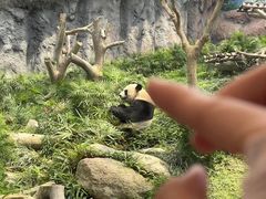 -石排湾郊野公园