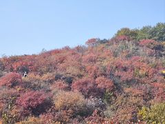 -北京西山国家森林公园