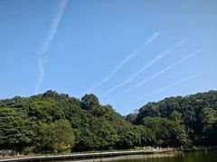 -广州市帽峰山景区
