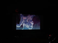 -枫花园汽车电影院(朝阳公园店)