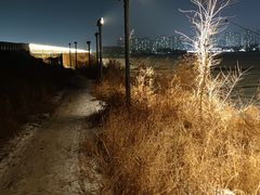 -丁香湖公园