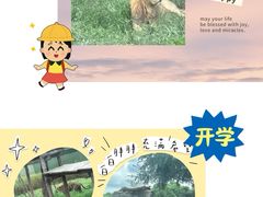 -上海野生动物园