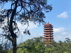 -缙云山景区