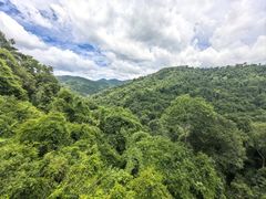 -野象谷景区