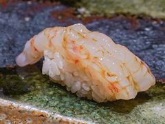 -银座岩