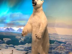 -陕西自然博物馆