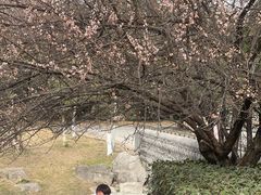 -国际非物质文化遗产博览园