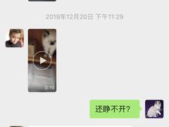 -瑞派雷欧宠物医院·中兽医·眼科·急重症转诊中心(黄台店)