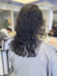 -镁连社·美联社