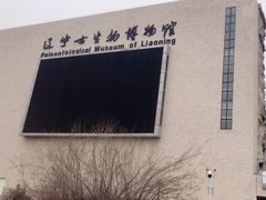 -辽宁古生物博物馆