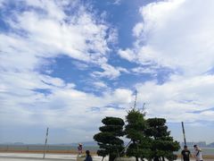 -演武大桥观景平台