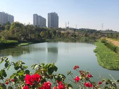-那考河湿地公园