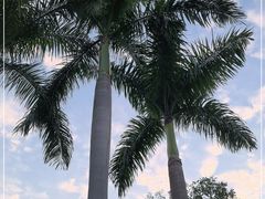 -广州市白云山风景名胜区