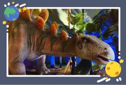 -恐龙探索乐园(磁器口店)