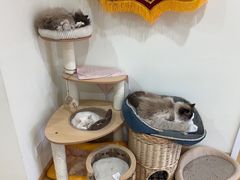 -初心动物医院