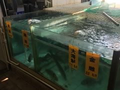 -寻味顺德·南记酒家·传统顺德菜·鱼生(广源路店)