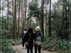 -窦圌山风景区