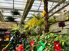 -南宫五洲植物乐园