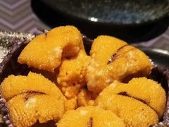 活海胆-羽山料理