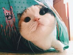 -东方好莱坞(文化路店)