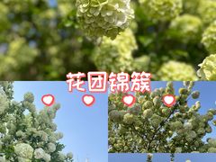 -桐乡植物园