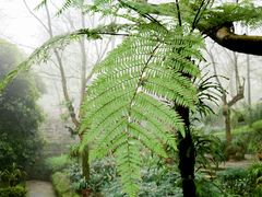 -南山植物园
