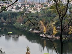-重庆彩云湖湿地公园