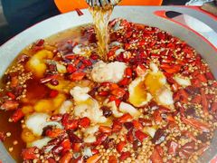 -蜀龙阁· 龍头水煮鱼(天坛店)