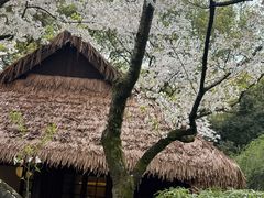 -中国茶叶博物馆(双峰馆区)
