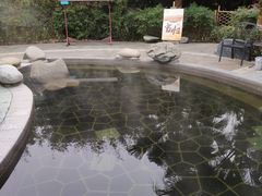 -雅安楠水阁温泉酒店