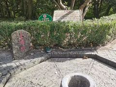 -上海佘山国家森林公园天马山园