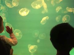 -福州罗源湾海洋世界旅游区