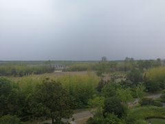 -上海崇明金茂凯悦酒店