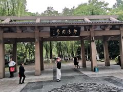 -柳浪闻莺公园