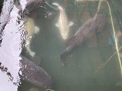 -蓝湾碧波·老字号·疍家非遗海上餐厅