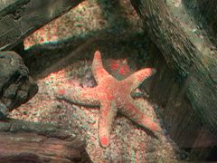 -沈阳海洋探索中心