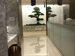-柏乐口腔医院·舒适化无痛种植牙中心(东盟商务区院)