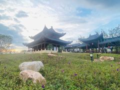 -江心屿景区